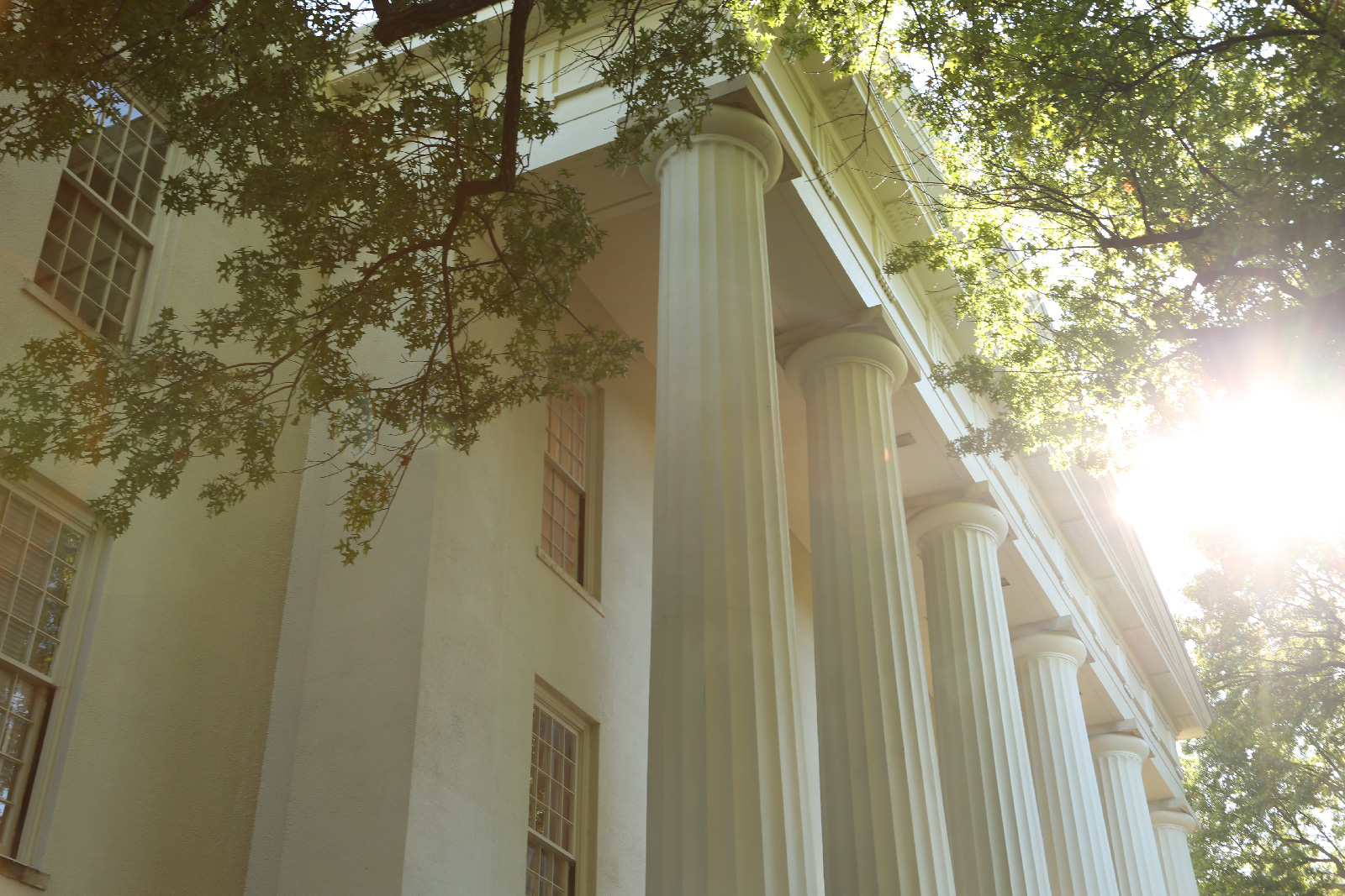 Old Morrison Columns