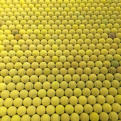 Transylvania senior thesis exhibition opens Friday