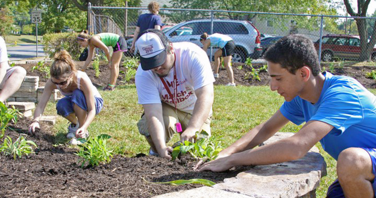 Transylvania to revive gardens that benefit pollinators, prevent soil erosion