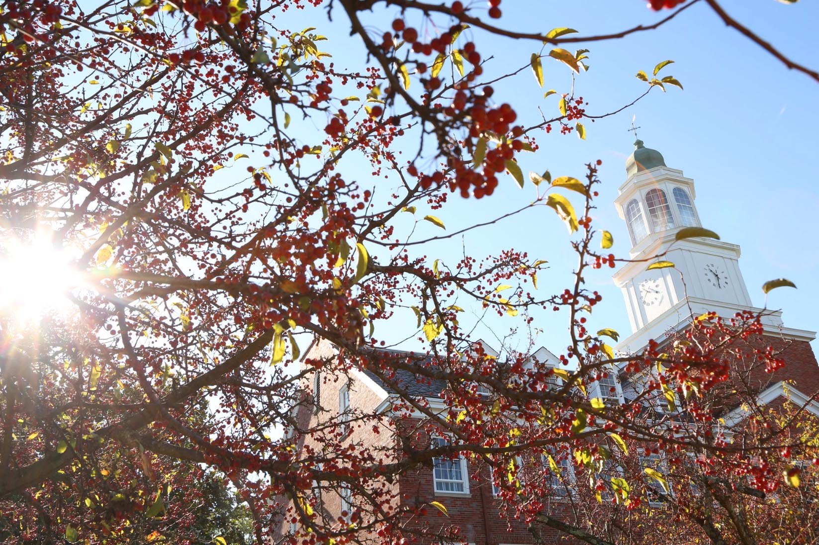 Elite colleges should avoid elitism