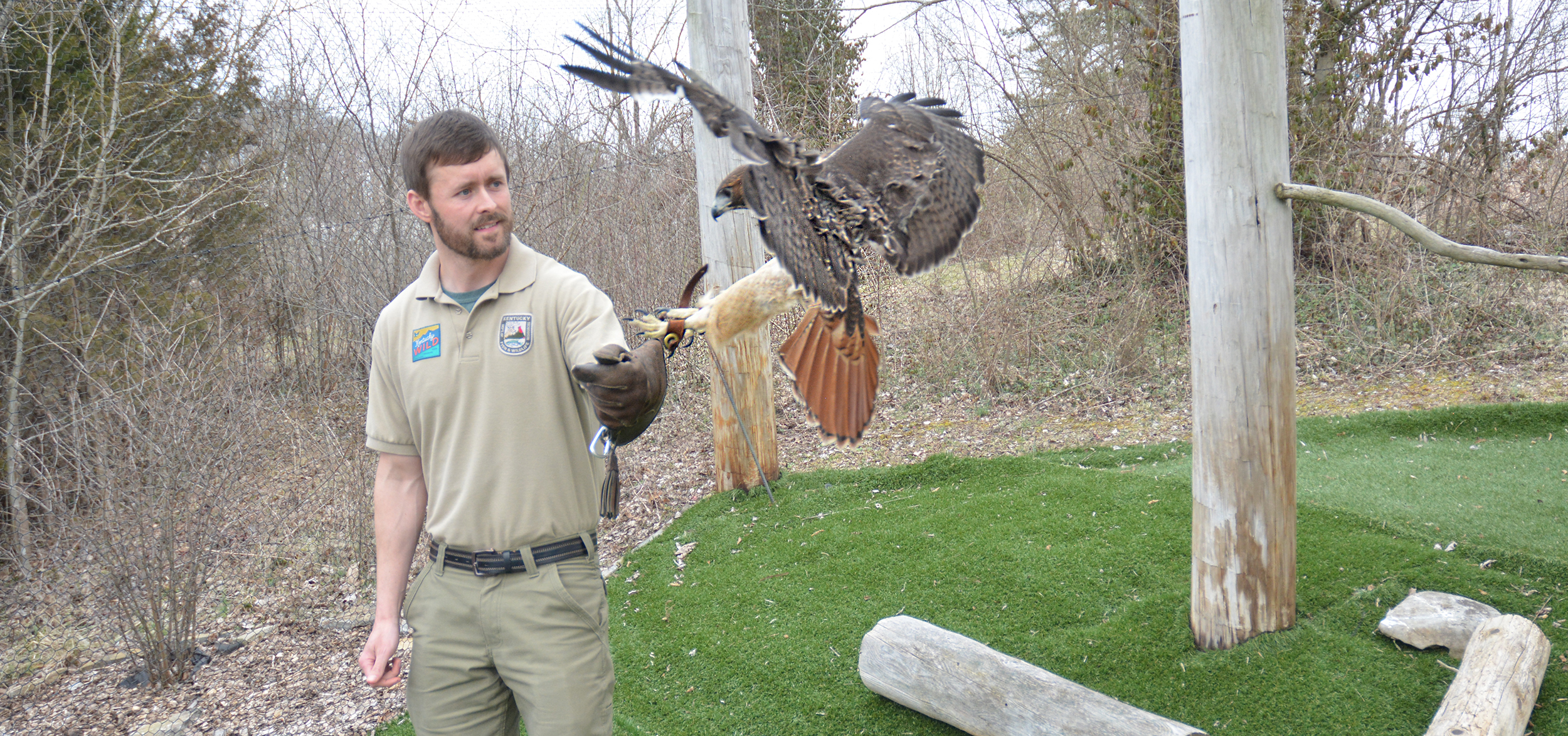 Call of the wild: Transy alum’s passion is no flight of fancy