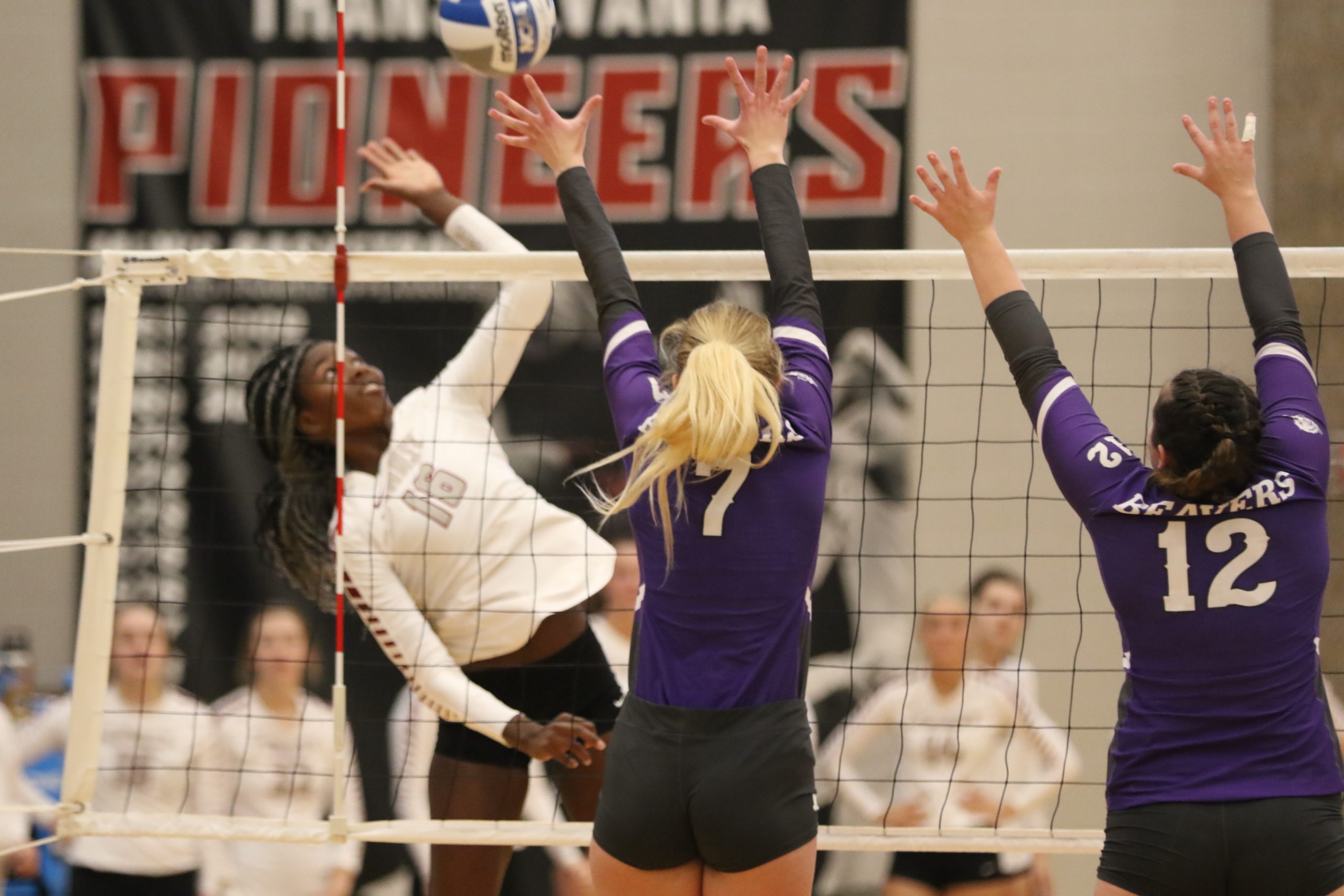 Transylvania volleyball junior achieves success as student and athlete