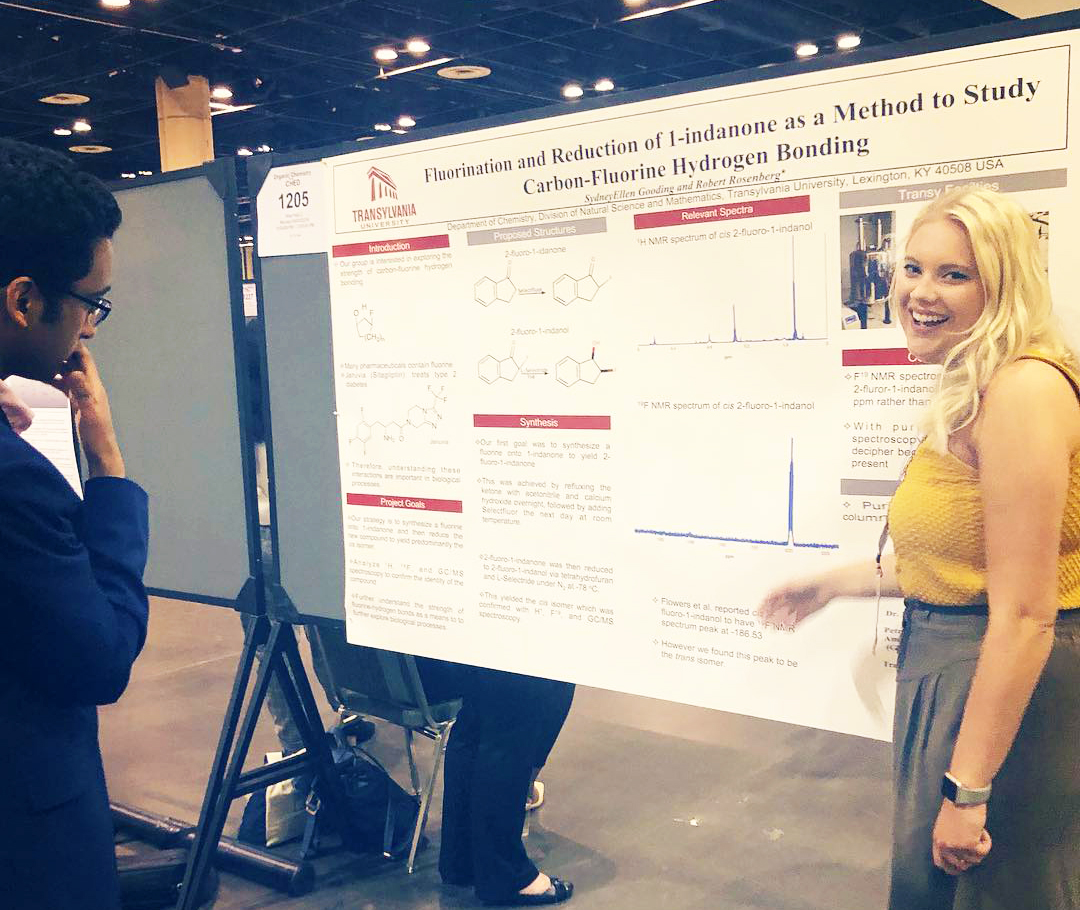 poster at chemistry conference