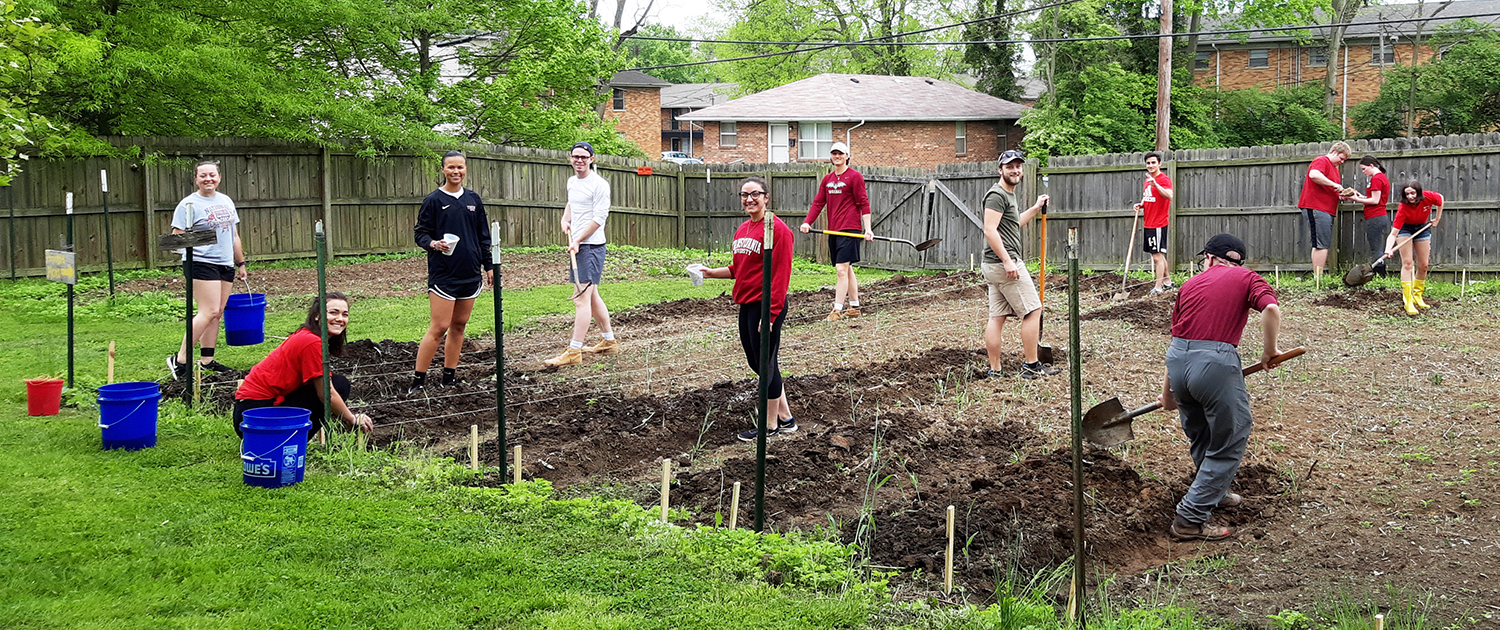 Community grows alongside corn in Transy Garden
