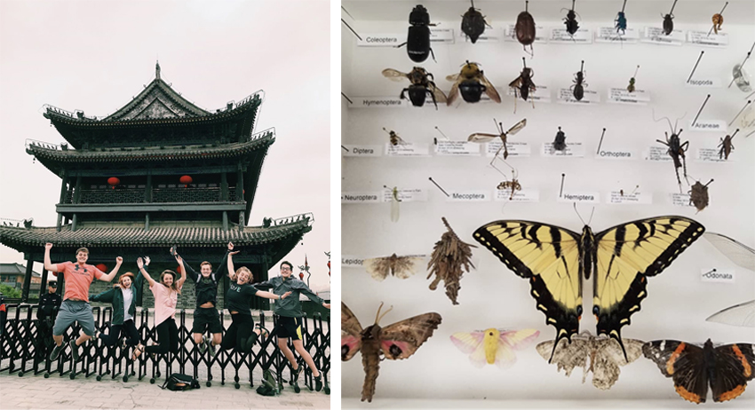 Photos of students jumping in front of X'ian City Wall and pinned insects