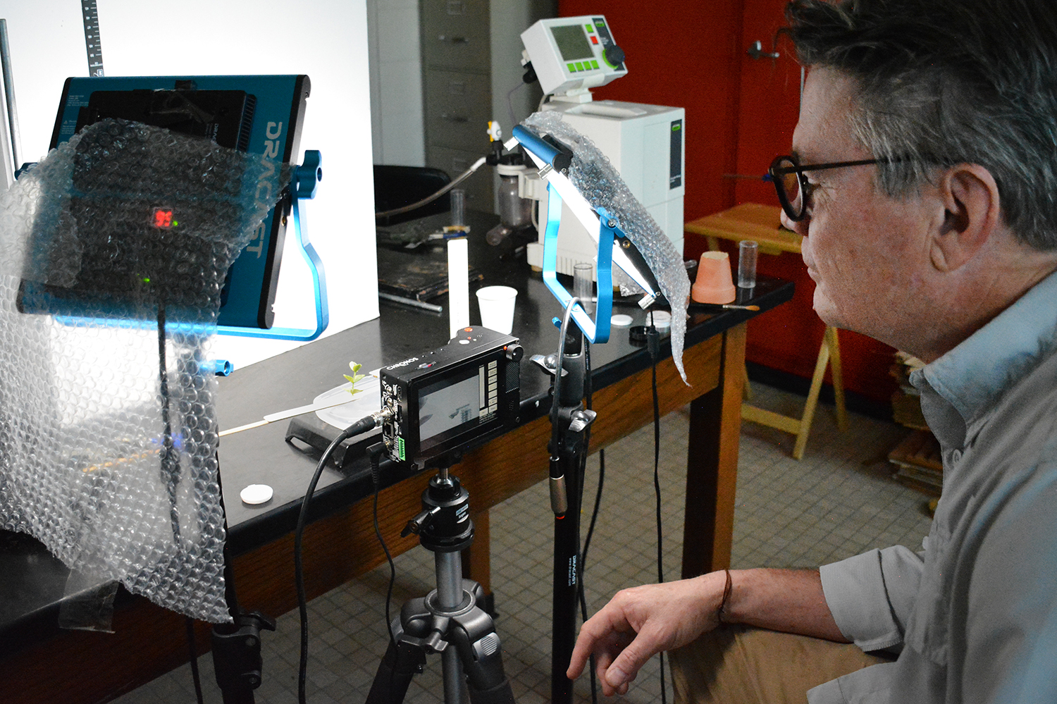 Transylvania professor jumps into summer spider research