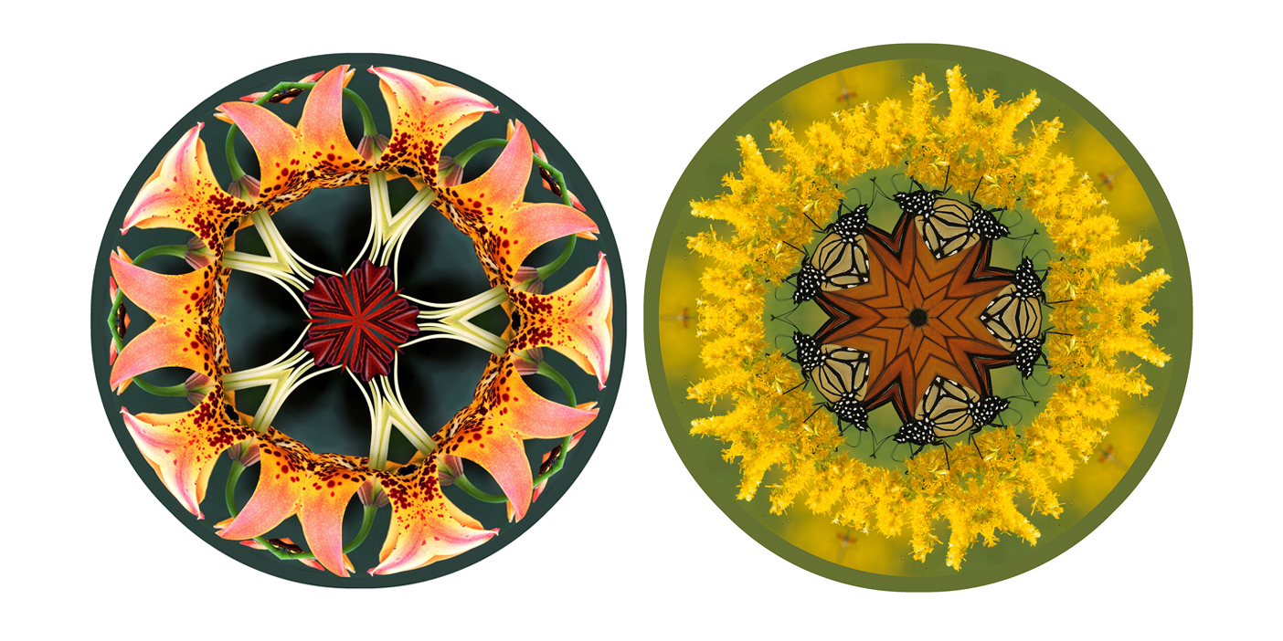 Morlan Gallery 2019-20 season to explore campus theme of resilience