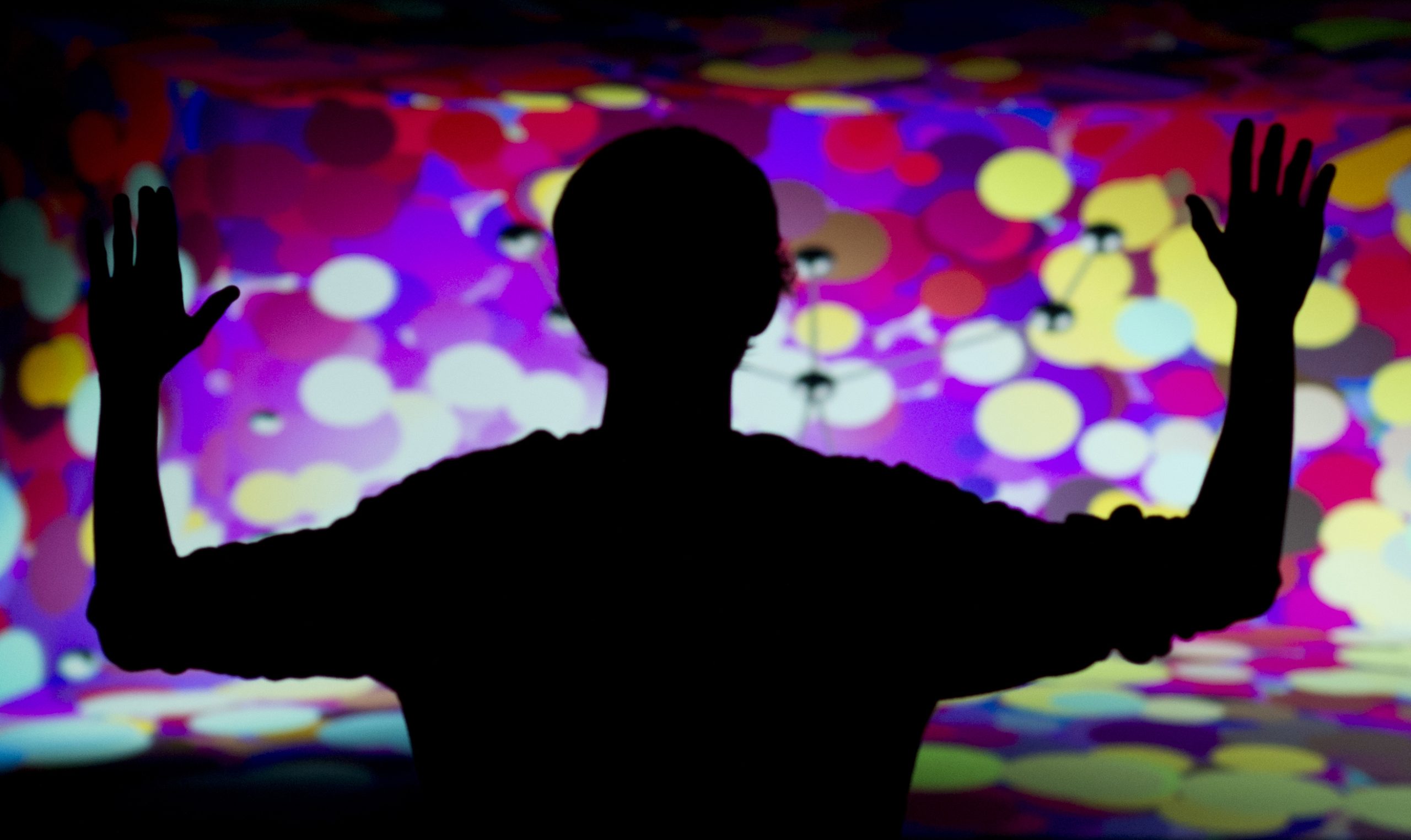 Transylvania to provide front-row seat to national digital arts, music scene