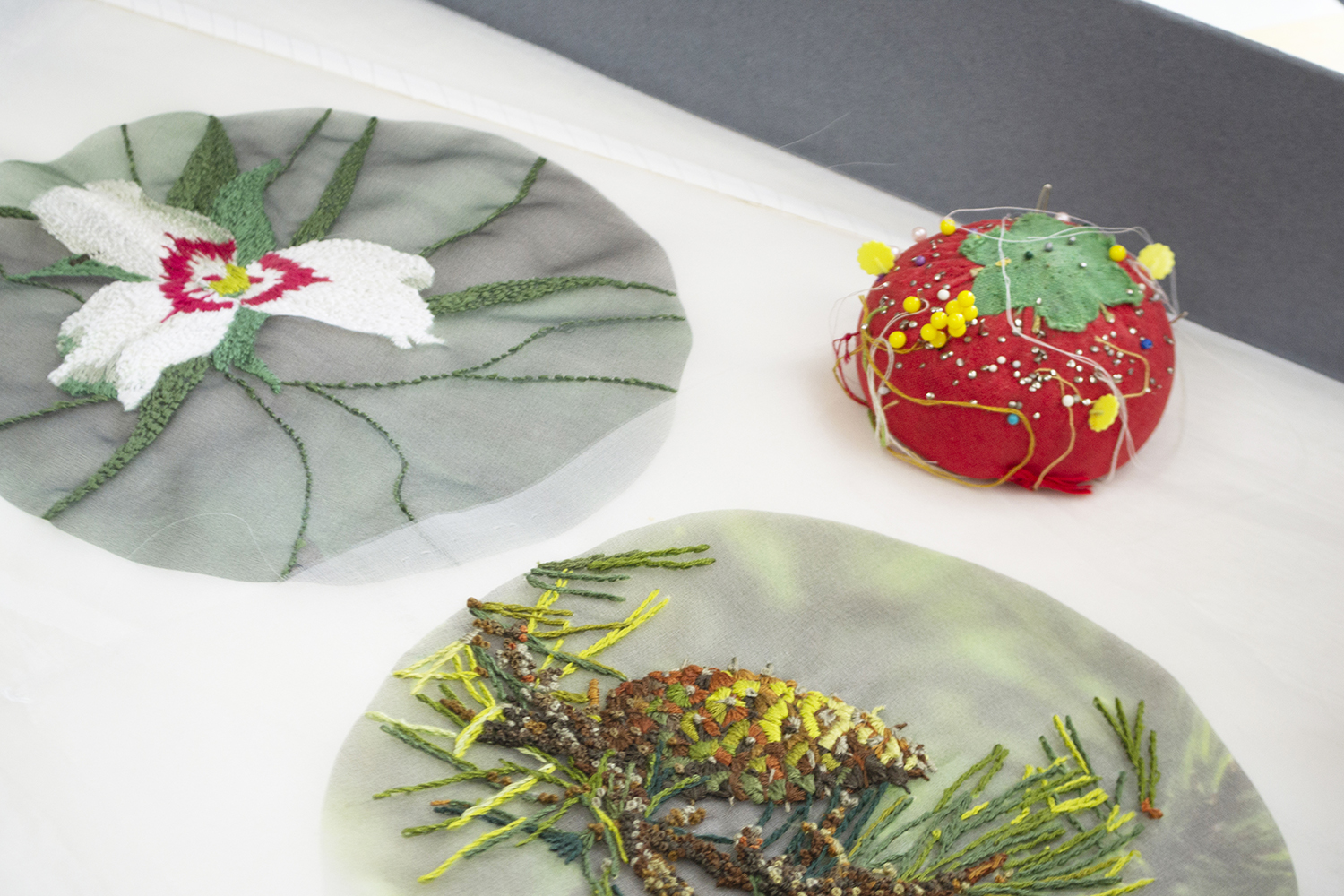 Transylvania student falls in love with Pine Mountain through embroidery project