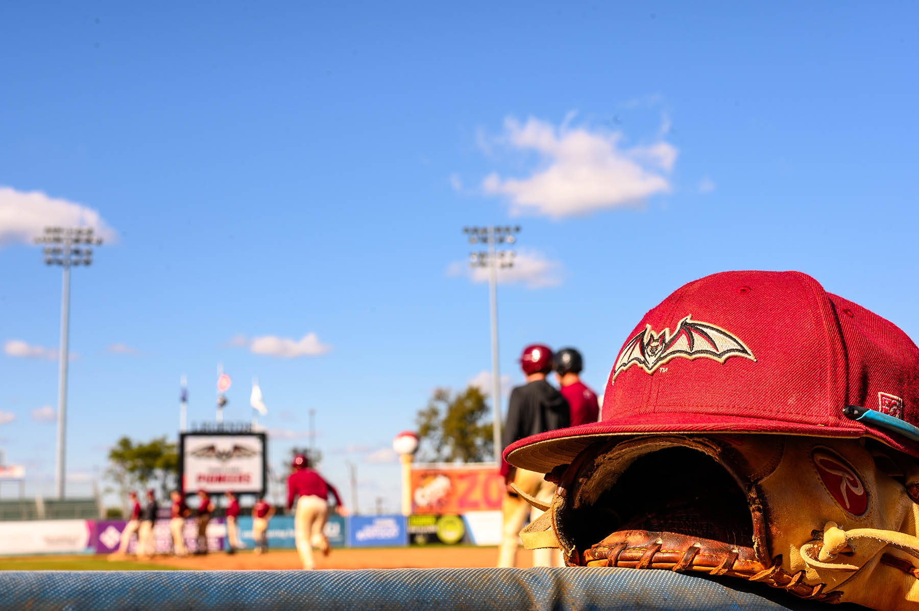 Transy Baseball