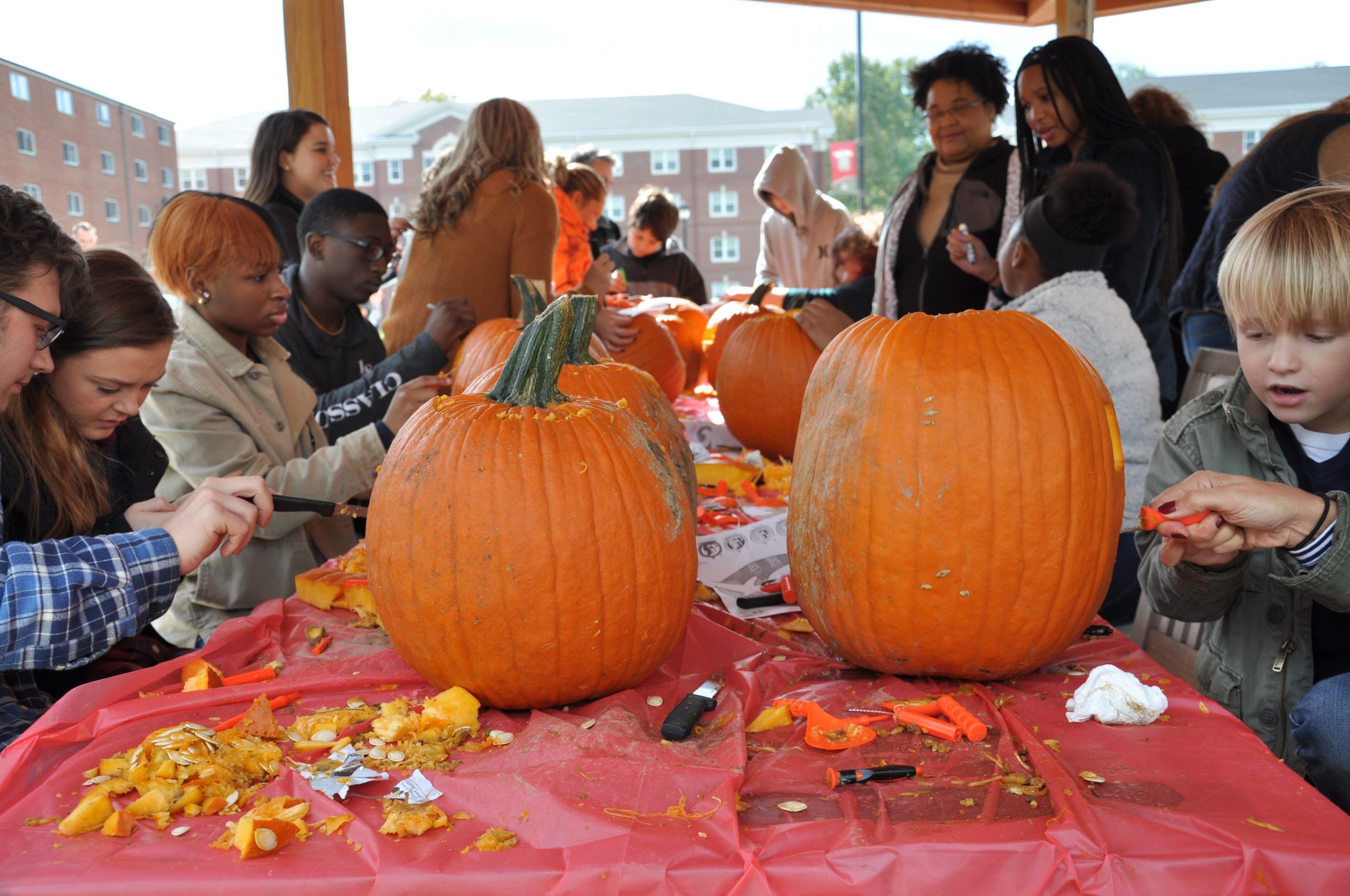 End of October brings families, alumni and pumpkins to Transylvania’s campus