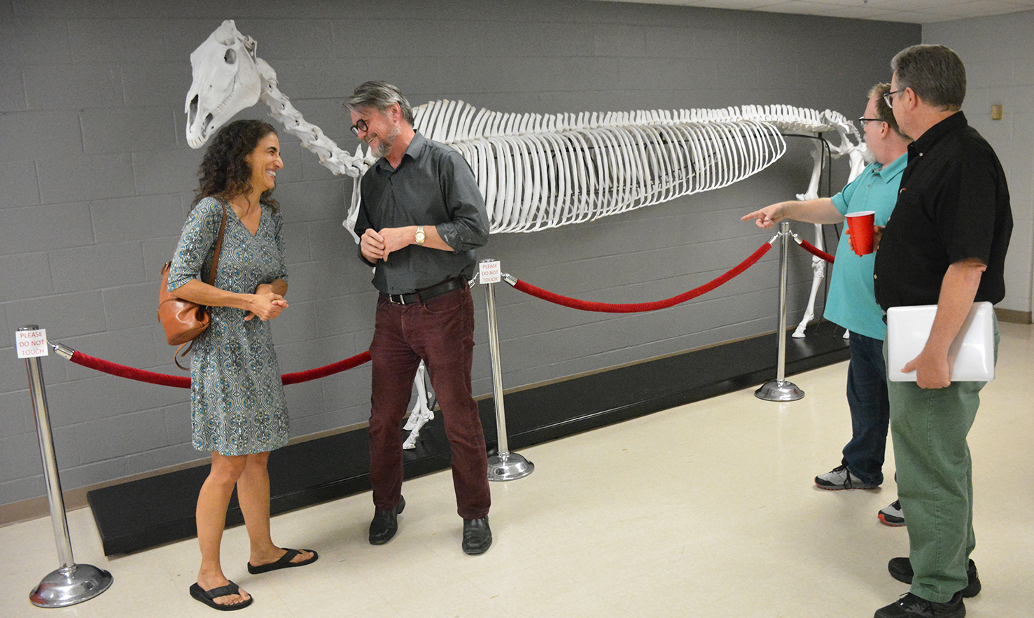‘Stretch limousine of Thoroughbreds’ on display in Transylvania’s Brown Science Center