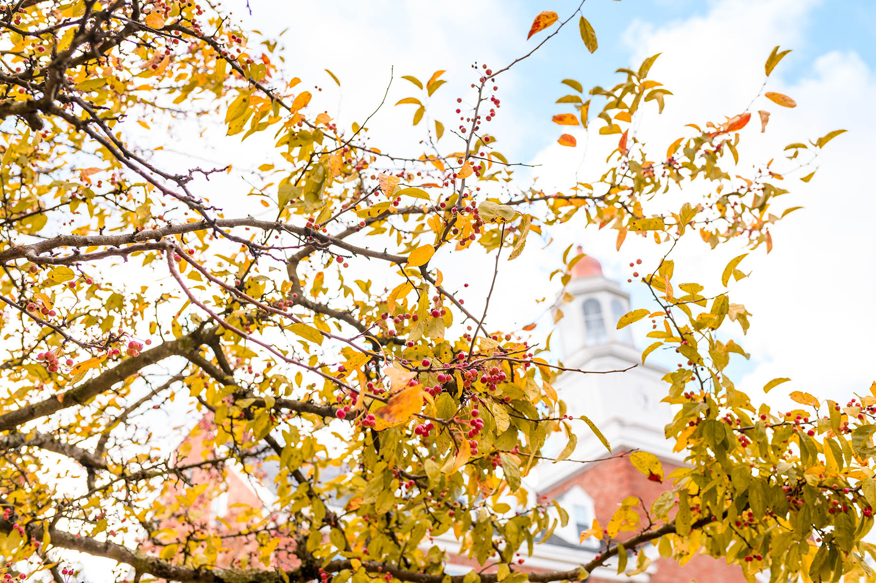 A Thanksgiving message from Interim President Williams