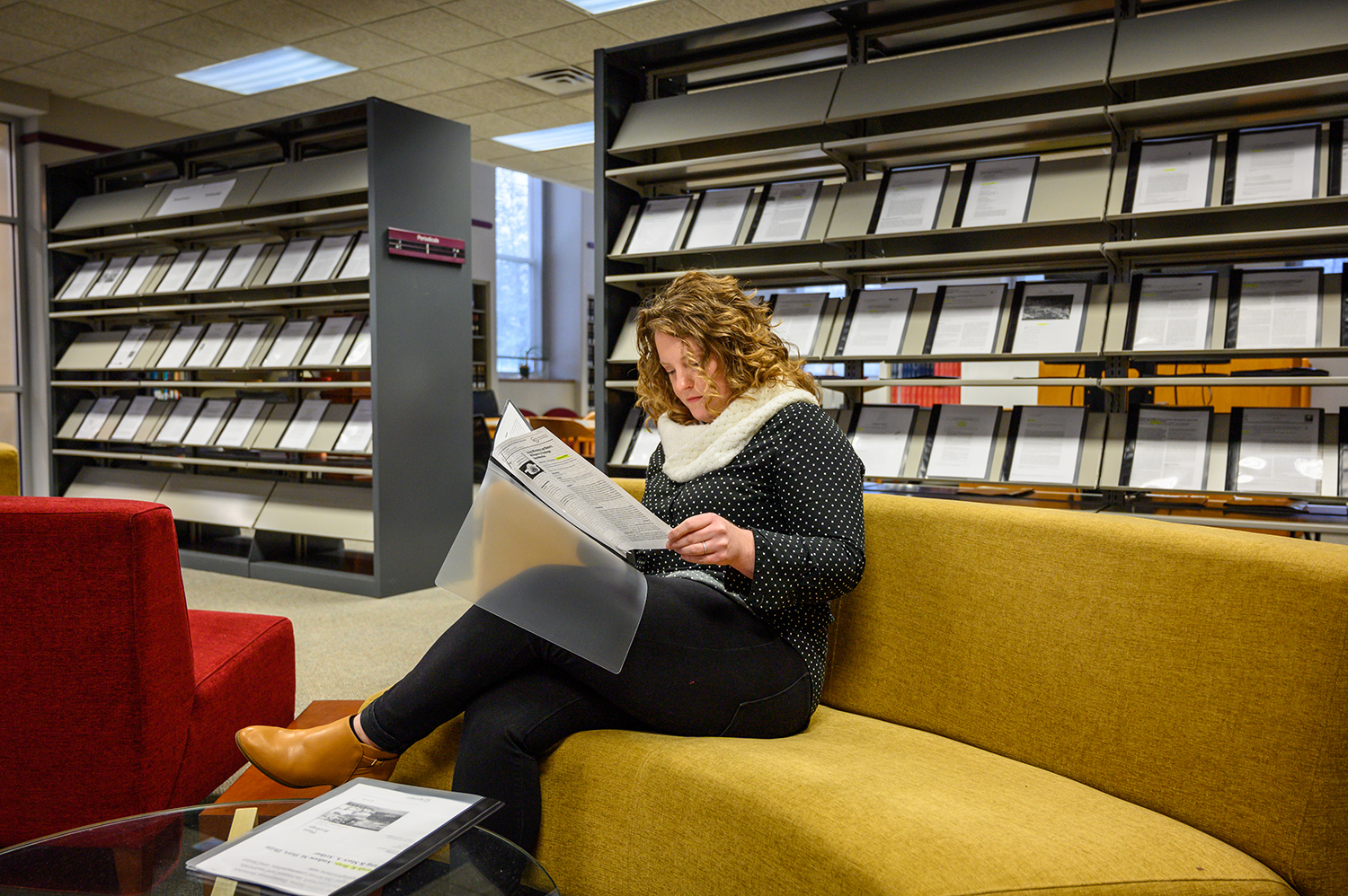 New library display spotlights scholarship of Transylvania community