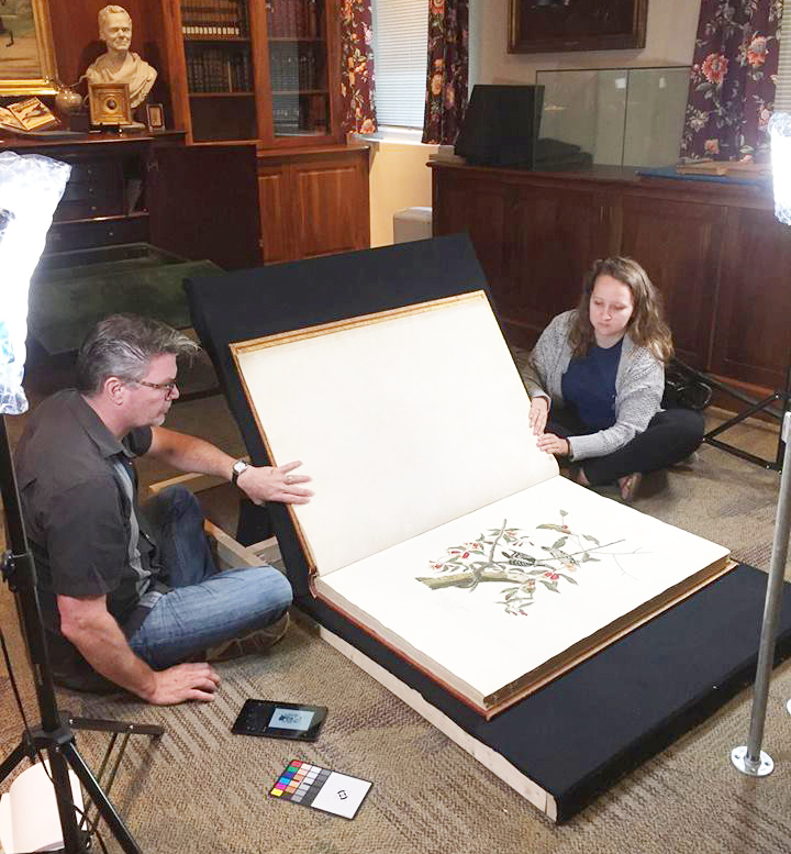 Transylvania professor’s research on insects in Audubon prints lands on cover of American Entomologist