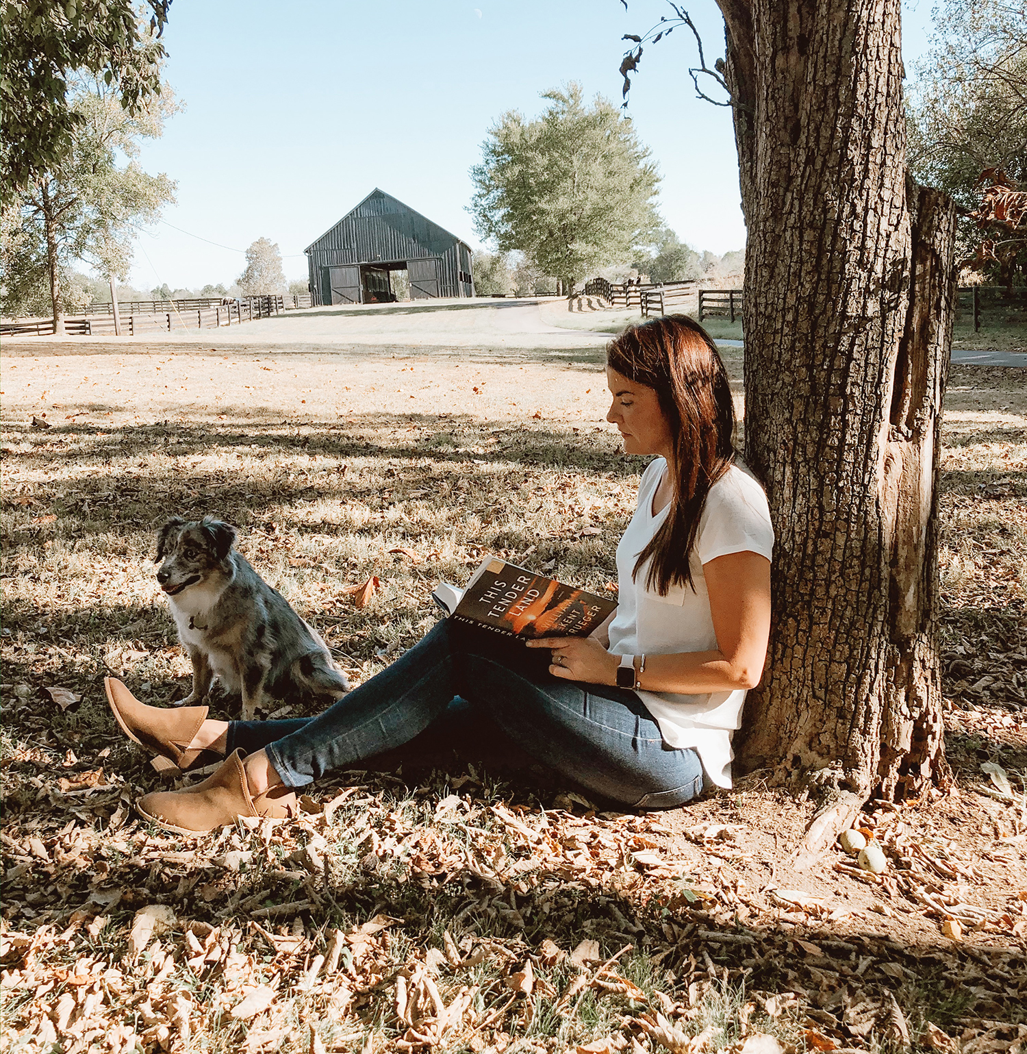 Transylvania staffer cooks up popular online fusion of book reviews, food
