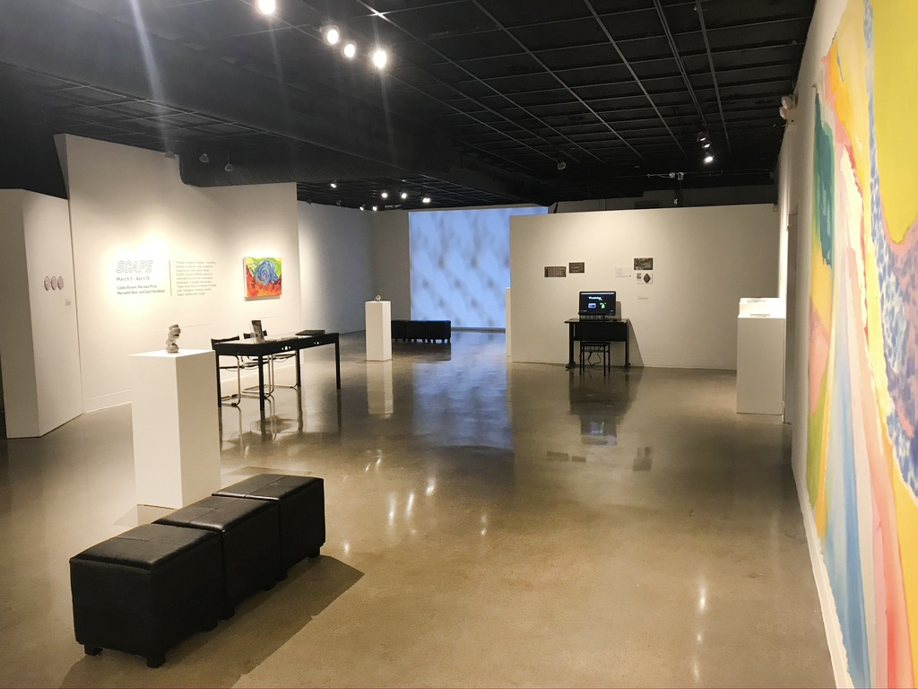 The art of social distancing: Transylvania senior exhibition goes digital