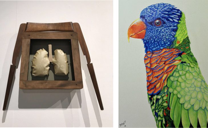 Two artworks, What's Inside and Parrot