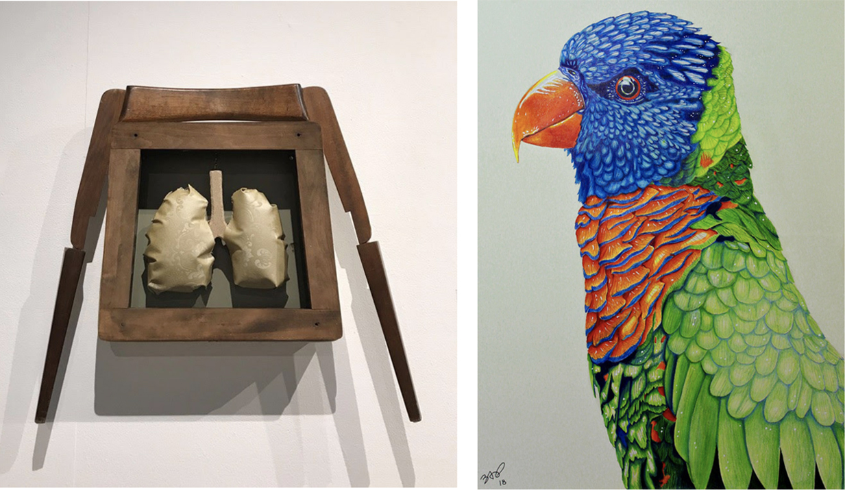 Two artworks, What's Inside and Parrot