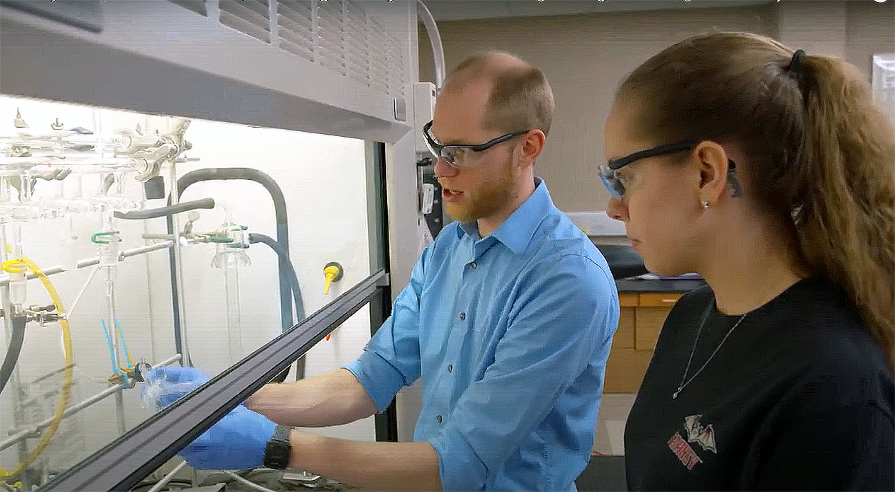 Statewide collaborative research effort benefits from work of Transylvania science professor