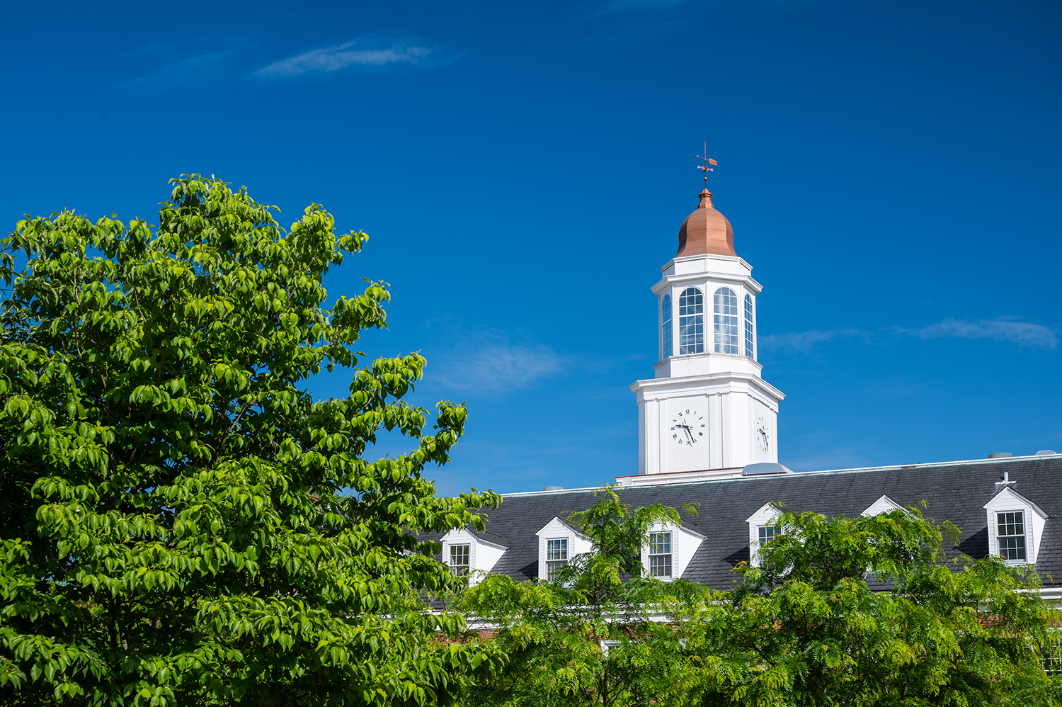 carpenter center