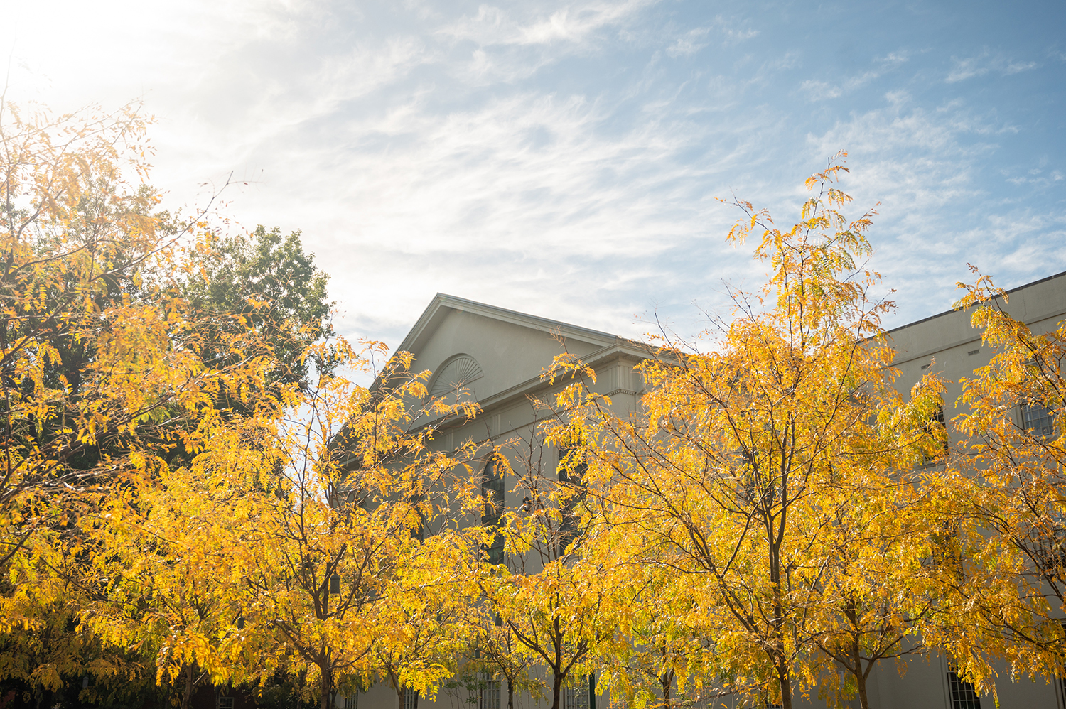 fall leaves and old morrison