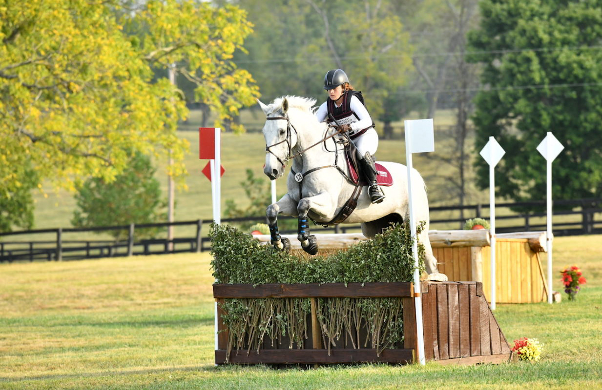 horse and rider jumping