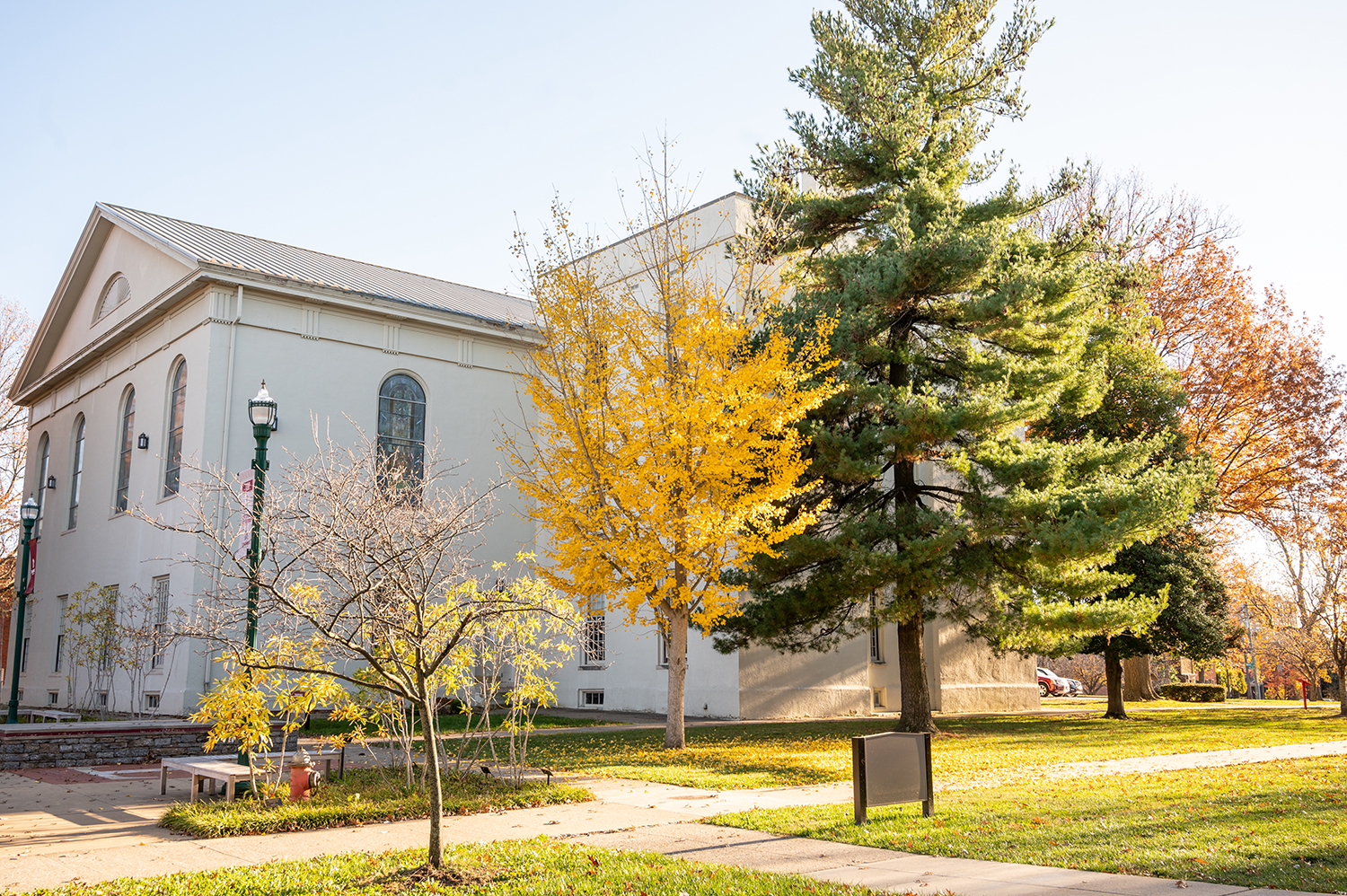 Thanksgiving message from Transylvania President Brien Lewis