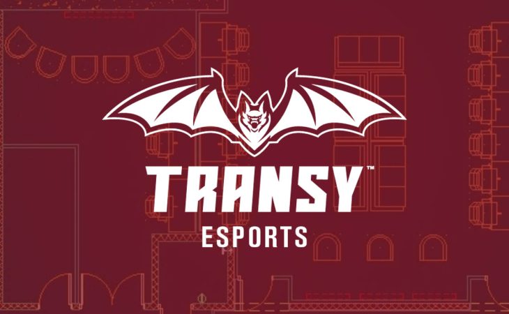 Transylvania Esports