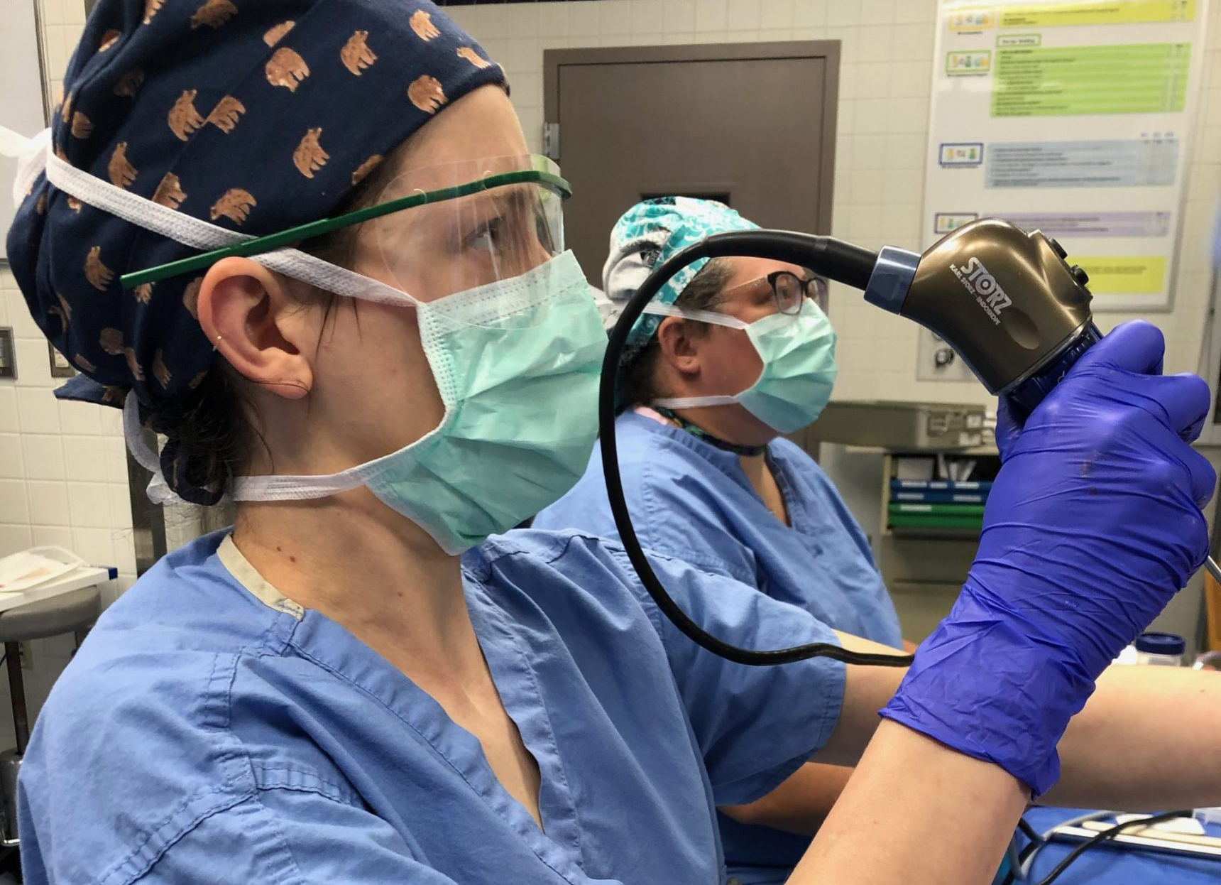 ‘Every day is different’: Surgeon-in-the-making embraces liberal arts foundation from Transylvania