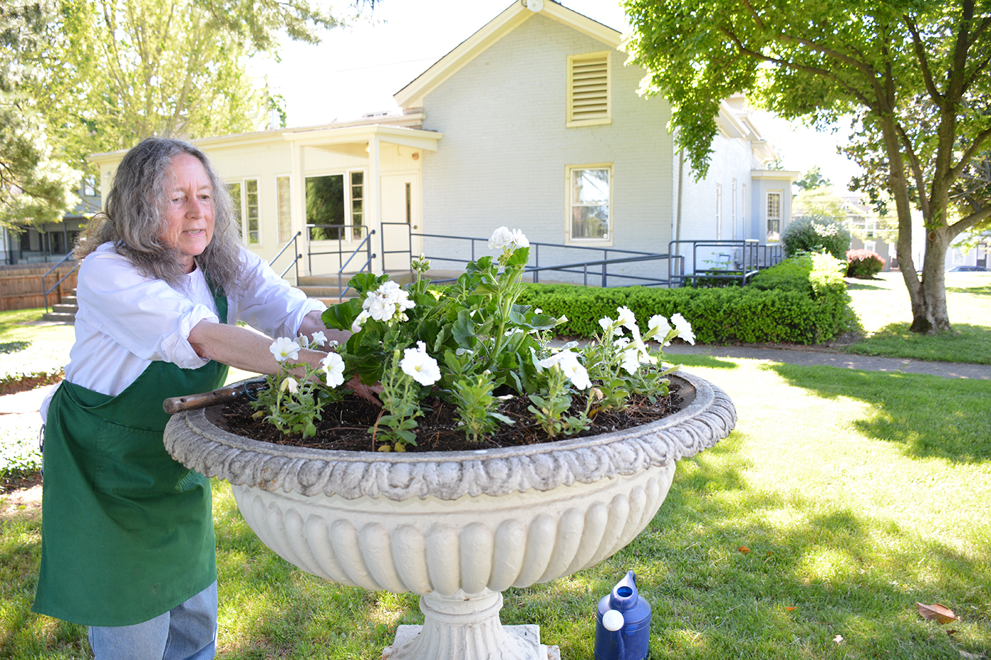 planting flowers