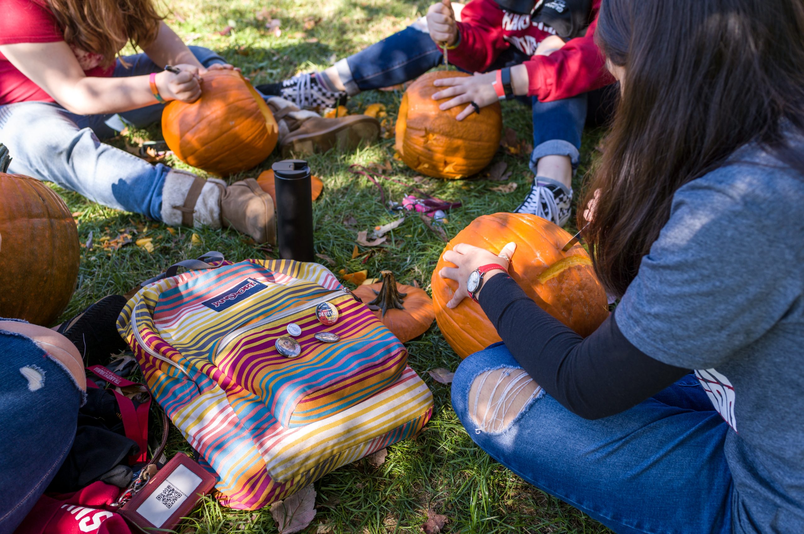 Transylvania’s PumpkinMania returns with carving event, jack-o’-lantern display