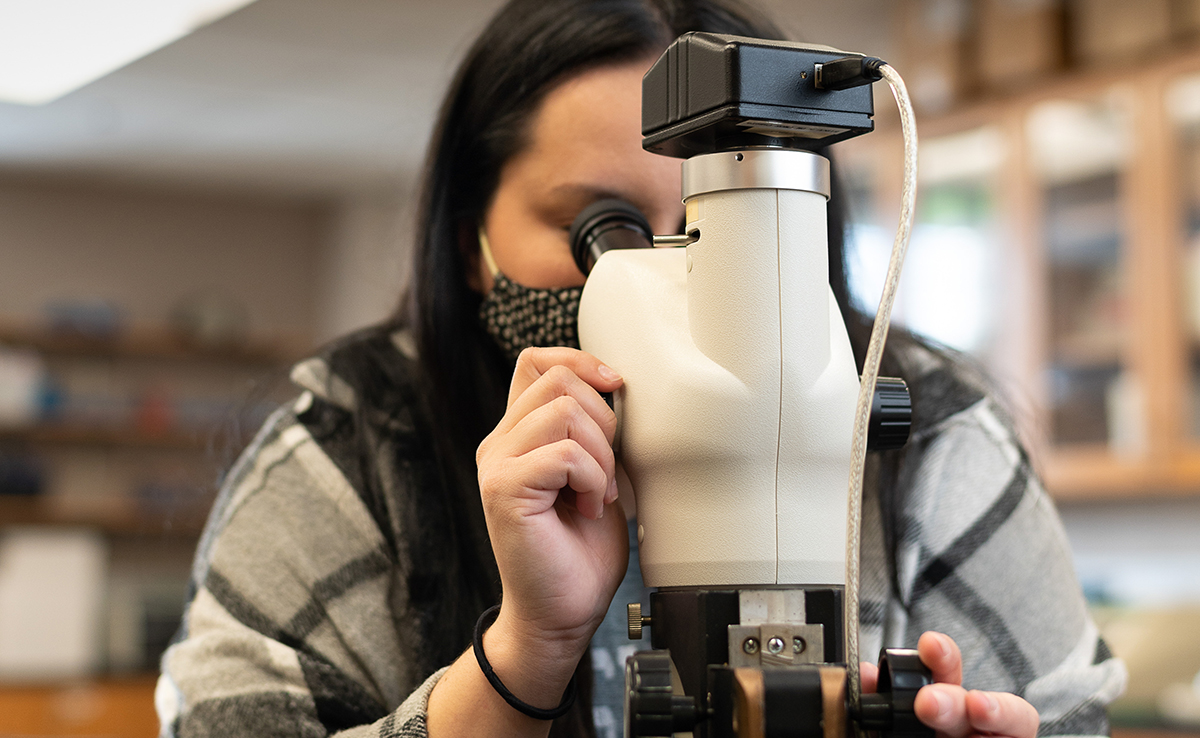 person looking at a microscope