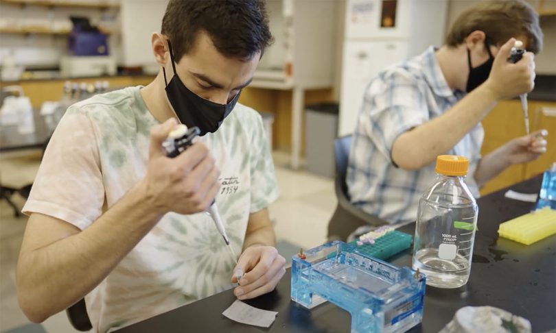 students in a lab