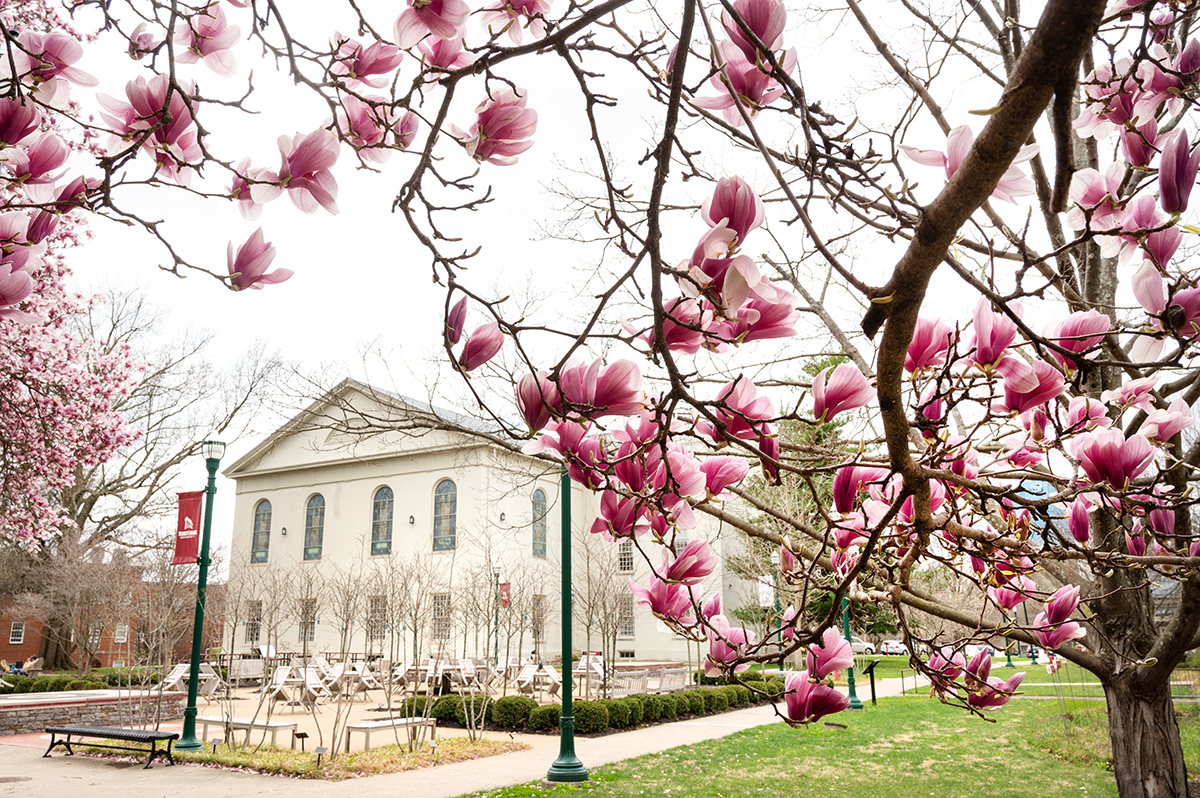 Transylvania updates Healthy at Transy guidelines