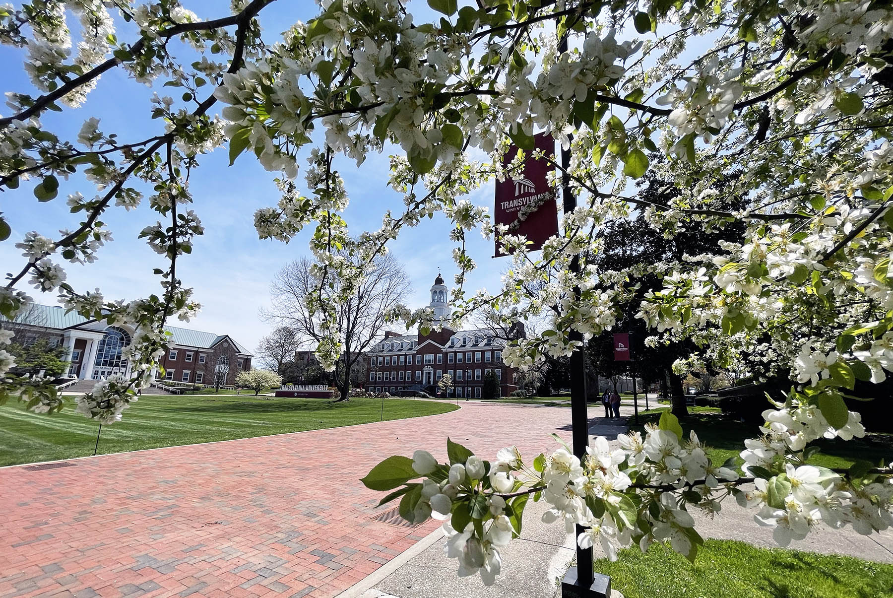 #Transy2026: Decision Day is May 1 — make your deposit now!