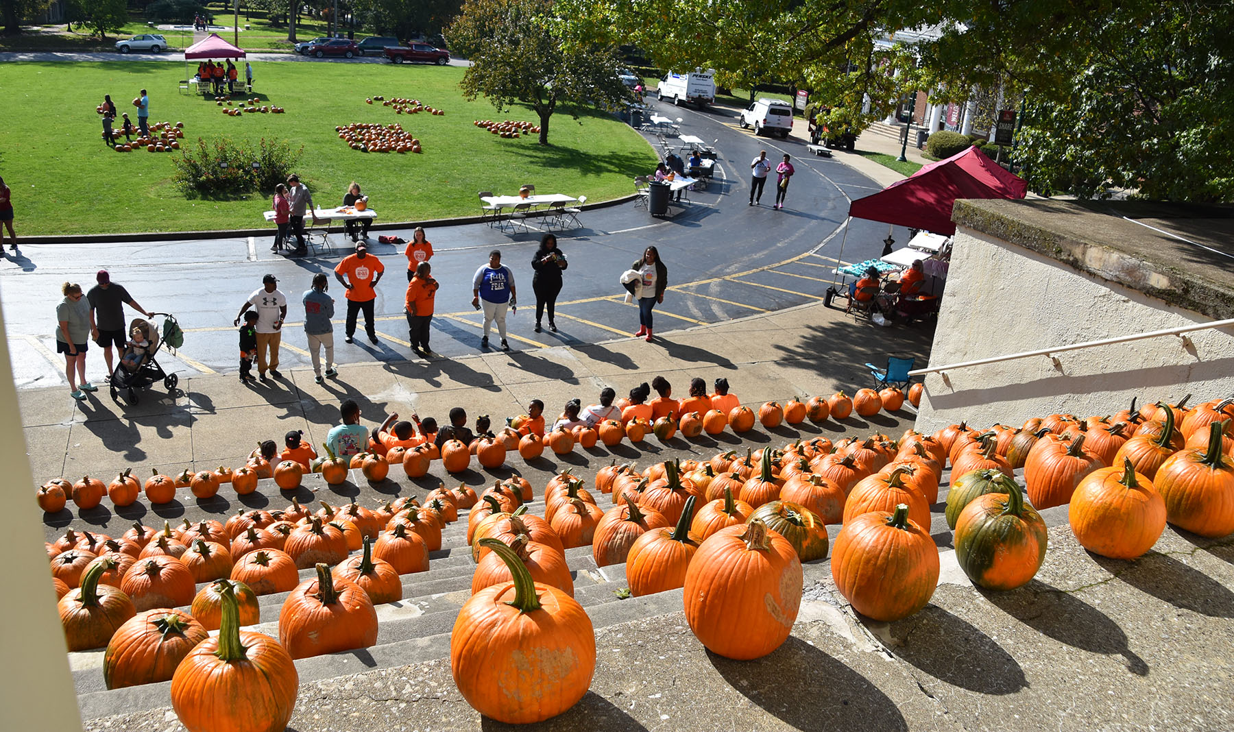 Pumpkinmania at Transylvania