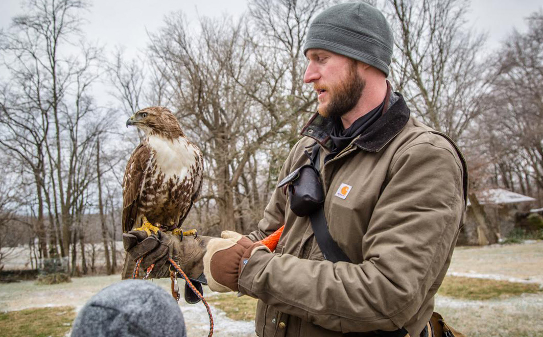 Transylvania alumnus soars to national leadership position in sport of falconry