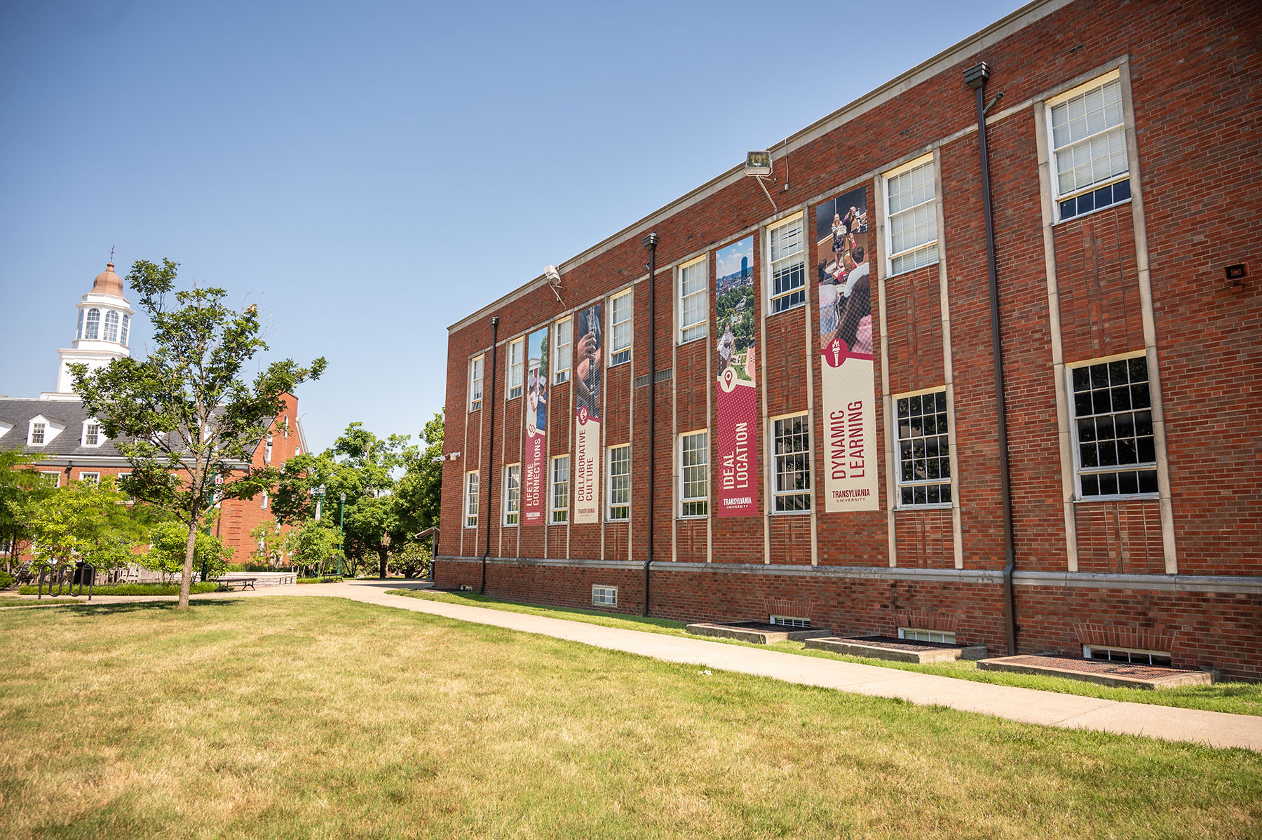 Campus banners on the Mitchell Fine Arts building.
