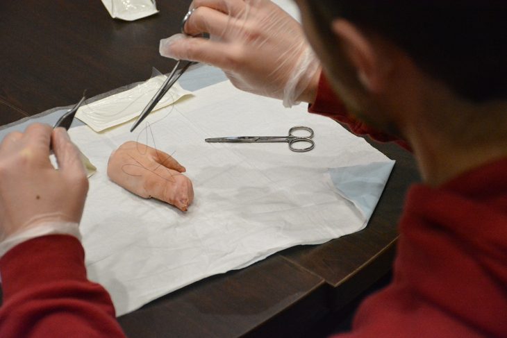 suturing a pig's foot