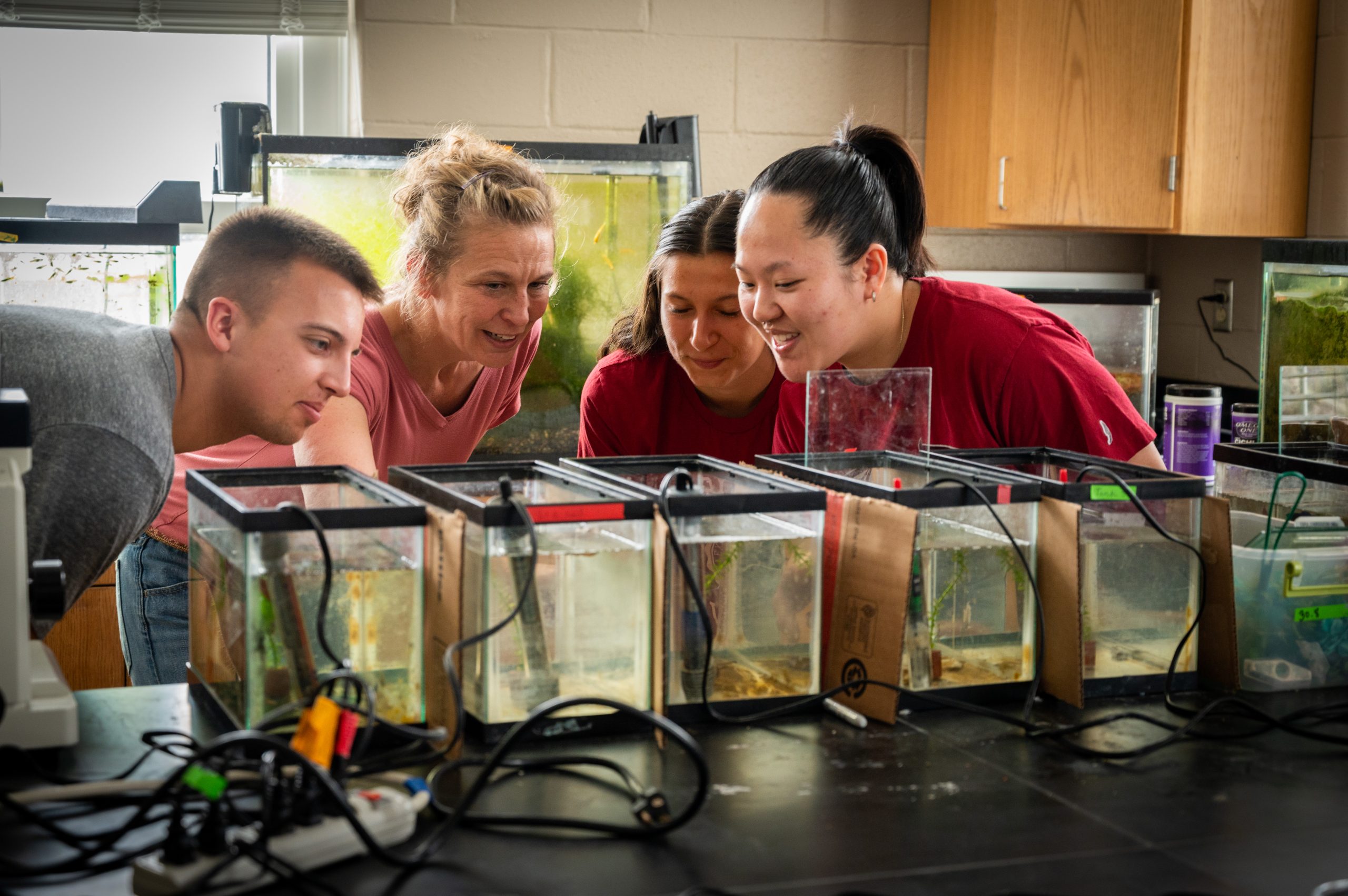 Belinda Sly and student researchers work with betta fish