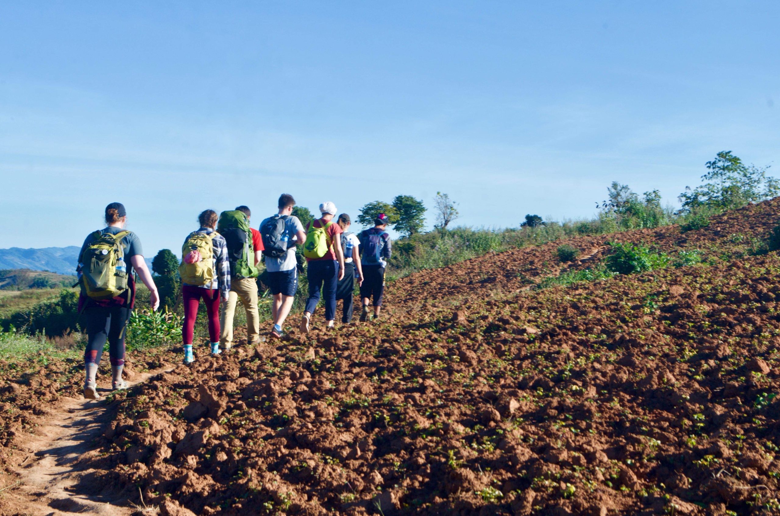 Building cross-cultural bridges: Transylvania’s Peace Corps Prep program receives five-year renewal