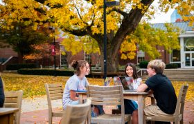 Transylvania students studying outside