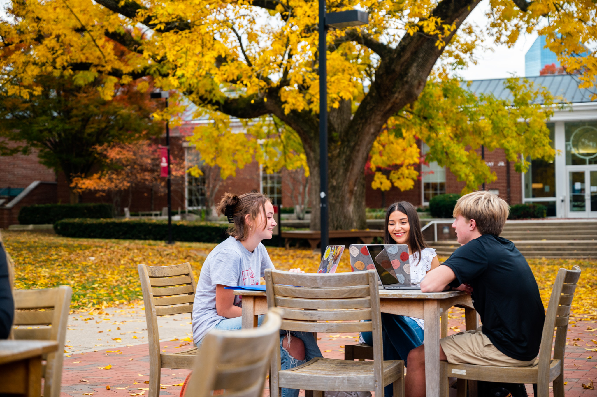 Transylvania students studying outside