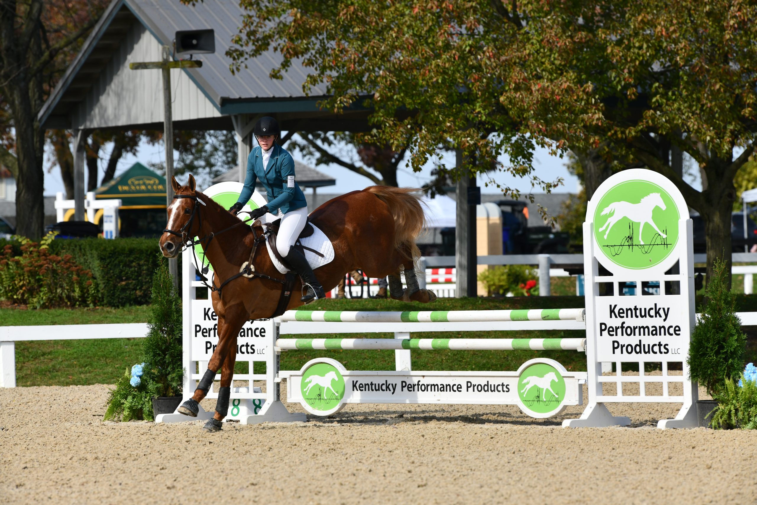 Transylvania pair takes the lead in saddlebred horse eventing participation