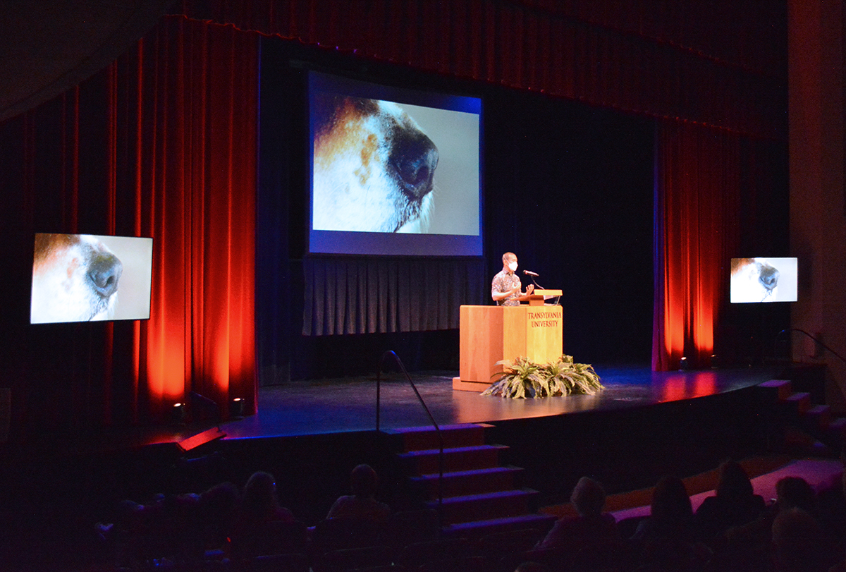 person on stage giving a talk