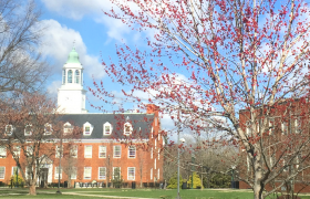 campus blossoms