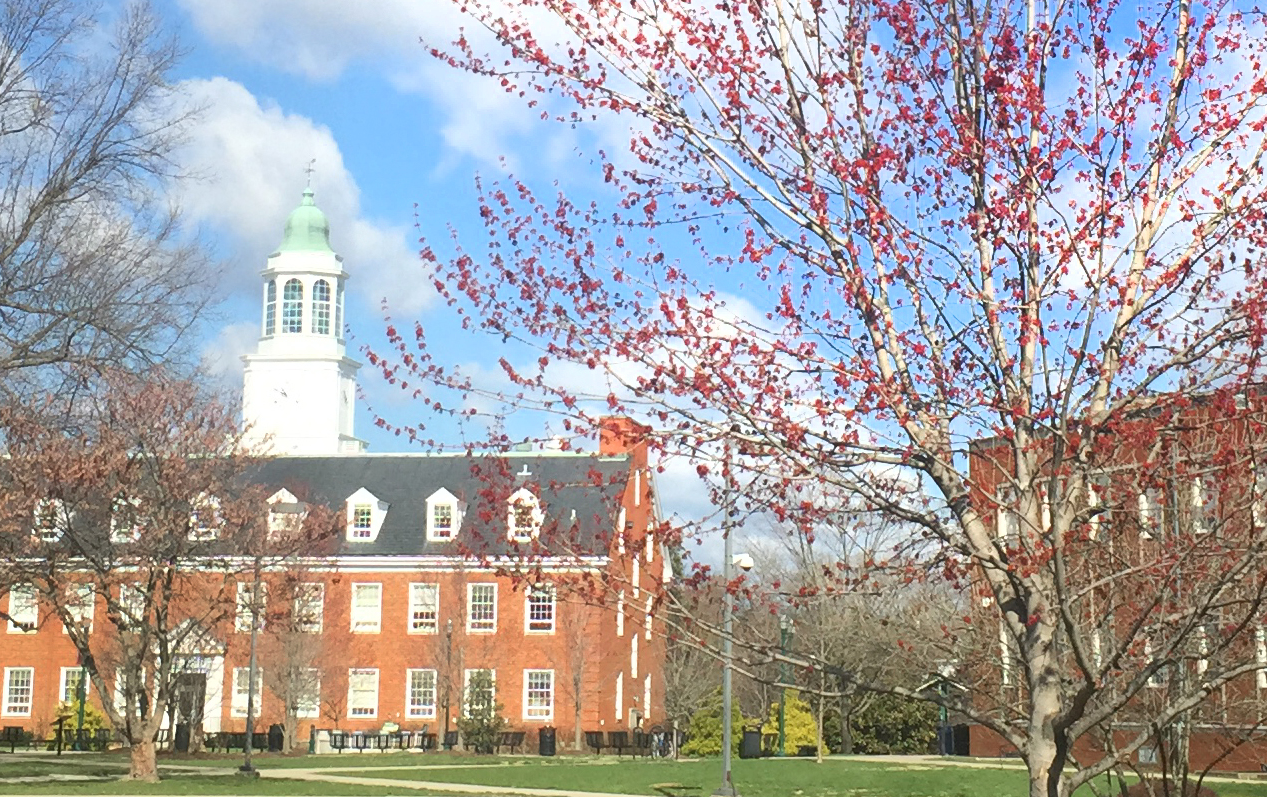 campus blossoms