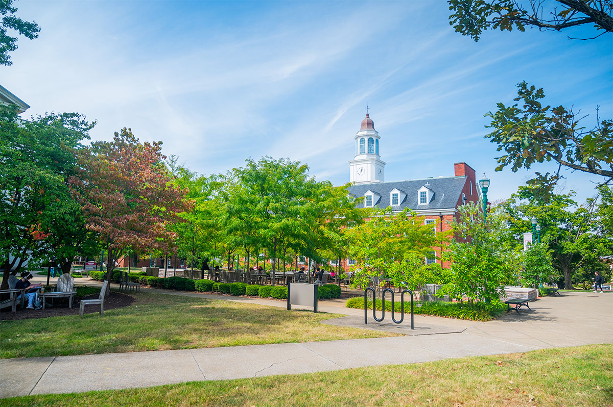 Choosing Transylvania from the perspective of a first-year student (Part II)