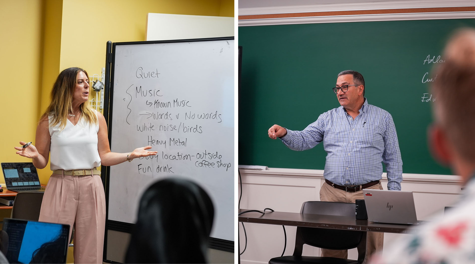 two professors teaching